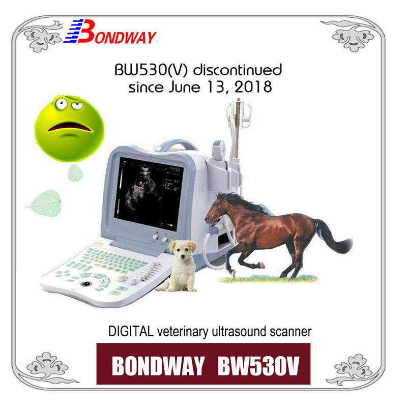 BW530V Vet ultrasound discontinued